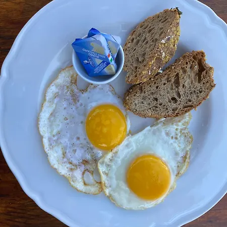 Campallegro Séjour à la ferme Cecina (Livorno)
