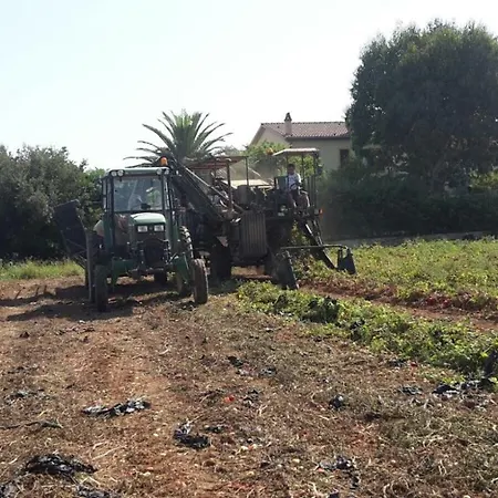 Séjour à la ferme Campallegro